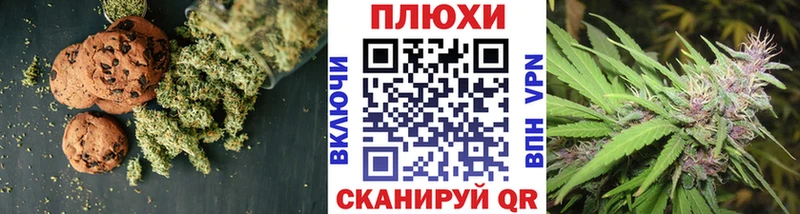 Canna-Cookies марихуана  Купить  Суджа 