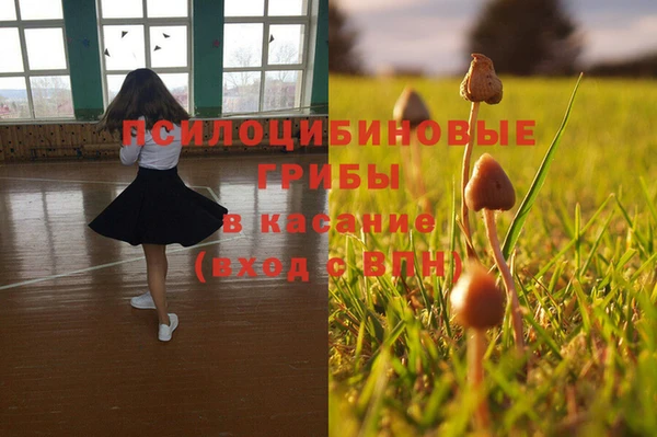 первитин Бородино