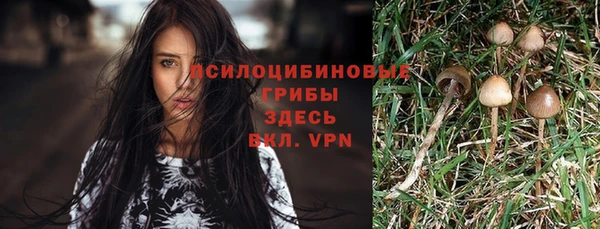 мескалин Бугульма