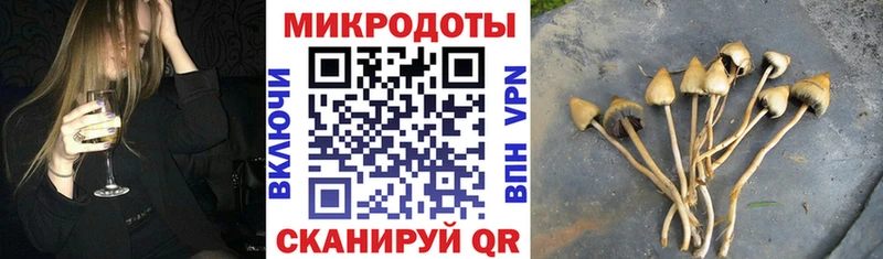 Купить где  Суджа  Псилоцибиновые грибы прущие грибы 