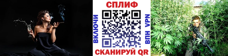 Конопля AK-47  Купить  Суджа 